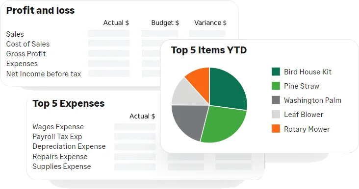 Sage 50 real-time reporting preview